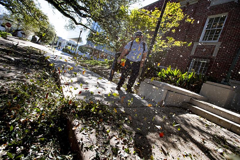 Tulane campus