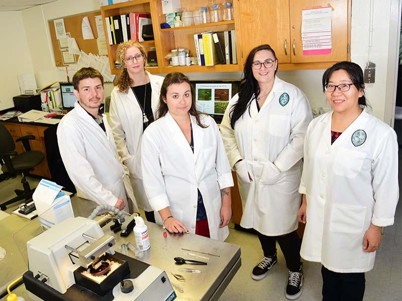 Dr. Andrea Zsombok received a $334,000 supplement to her current NIH grant examining the brain's role in diabetes. From left to right: Adrien Molinas, Andrea Zsombok, Lucie Desmoulins, Sierra Butcher and Hong Gao. (photo by Cheryl Gerber)