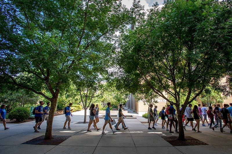 Trees provide a temporary retreat from the heat during a walk across campus.