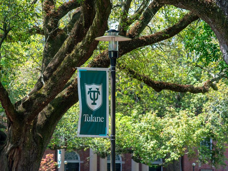 Campus banner