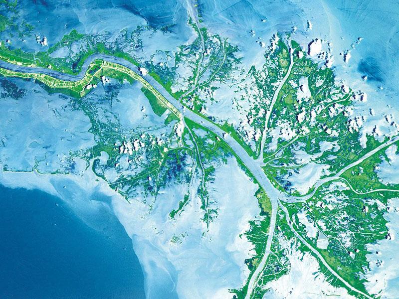 Gulf Coast Gulf Coast