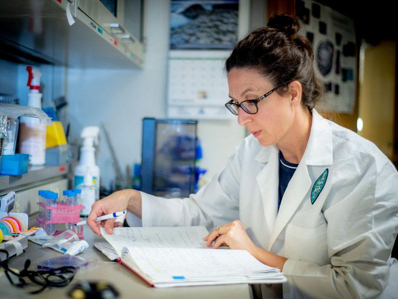 School of Medicine’s Dr. Dahlene Fusco in lab School of Medicine’s Dr. Dahlene Fusco in lab