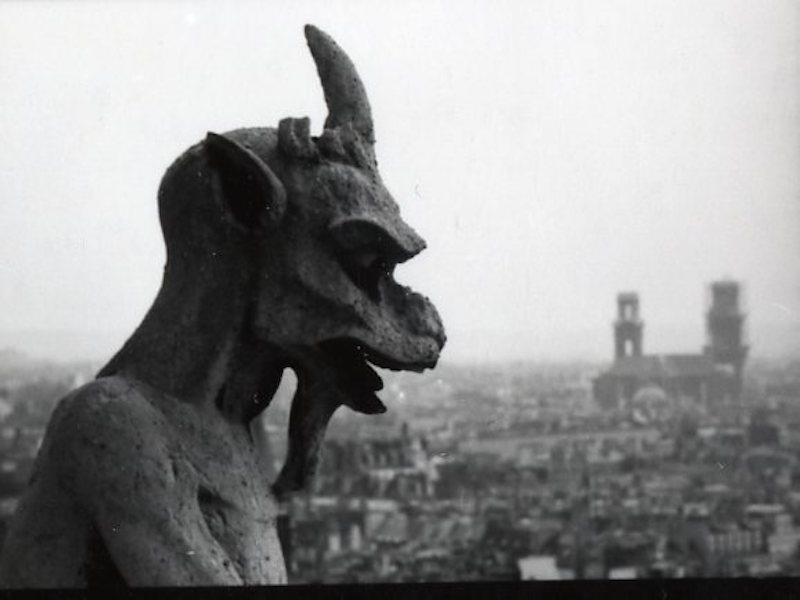 Notre Dame gargoyle Notre Dame gargoyle