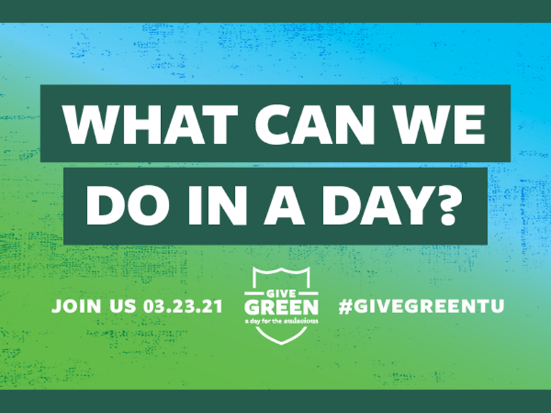 Give Green: What can we do in a day?