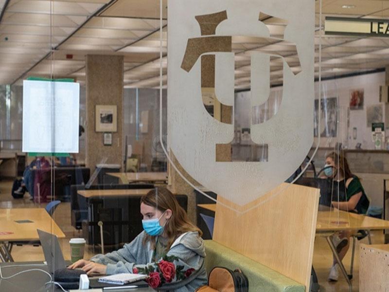 Students in library