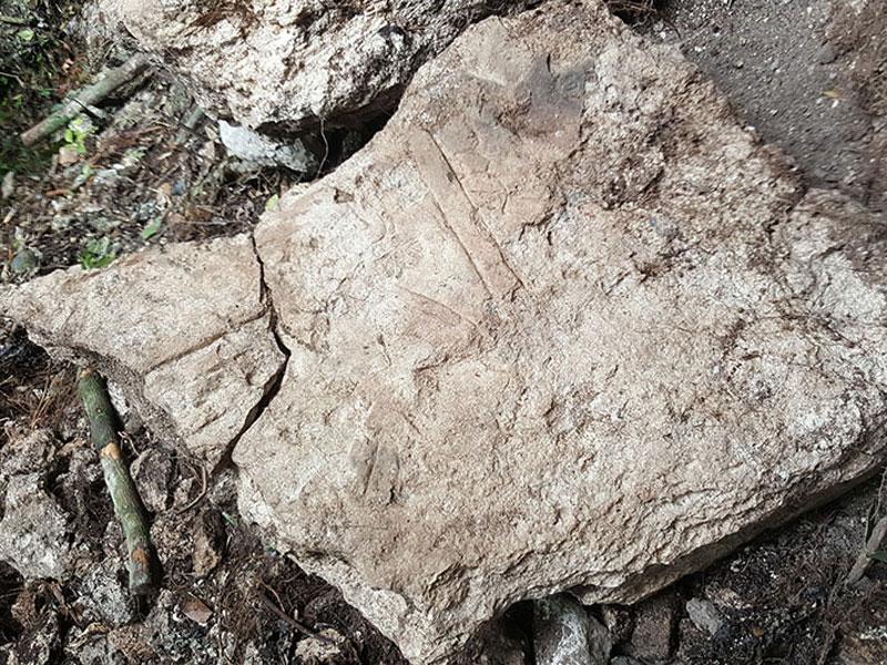 Study shows Maya civilization decimated by fiery war Study shows Maya civilization decimated by fiery war