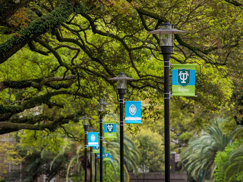 McAlister Place McAlister Place