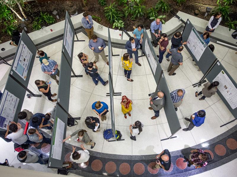 Aerial view of people looking at research day posters