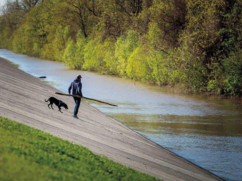 A man and his dog walk along the Mississippi River
