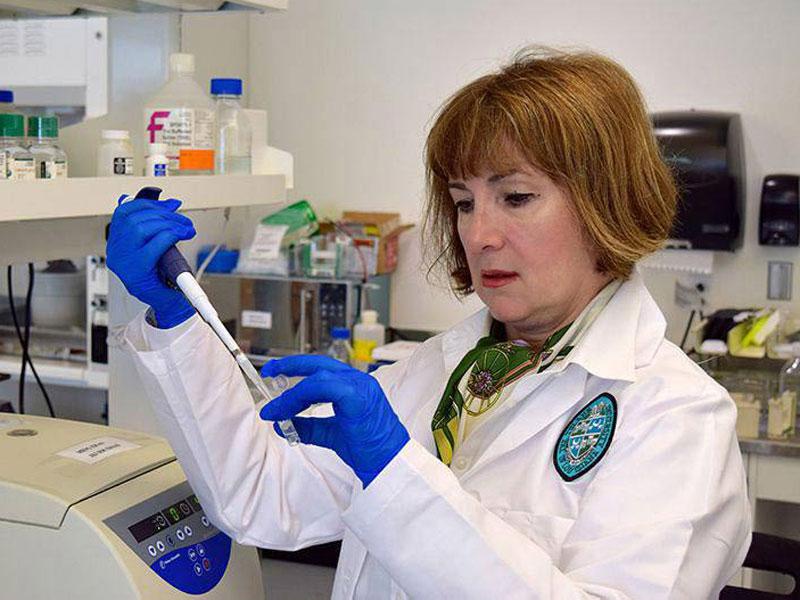 Suzana Savkovic works in lab Suzana Savkovic works in lab