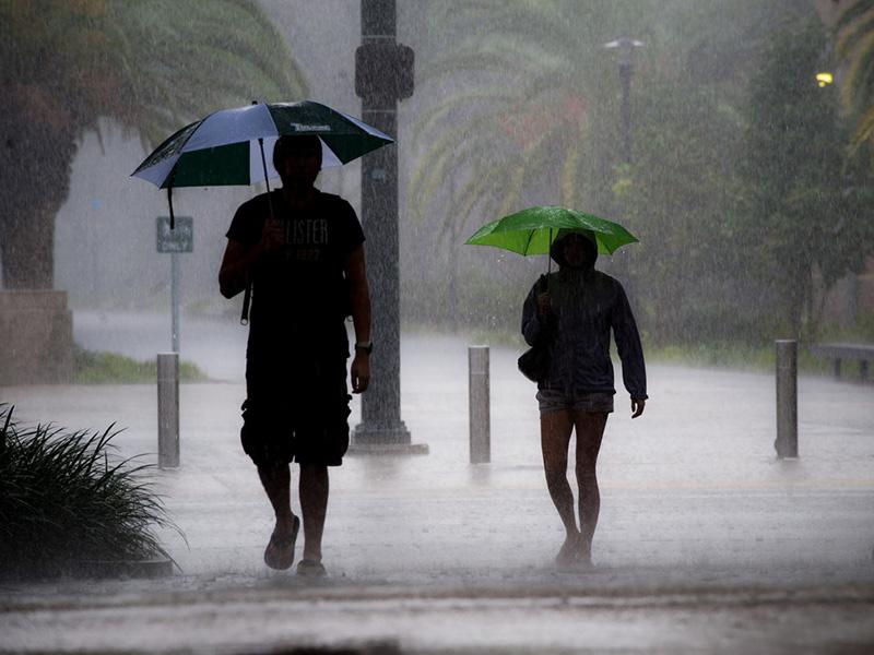 Rain on Tulane campus