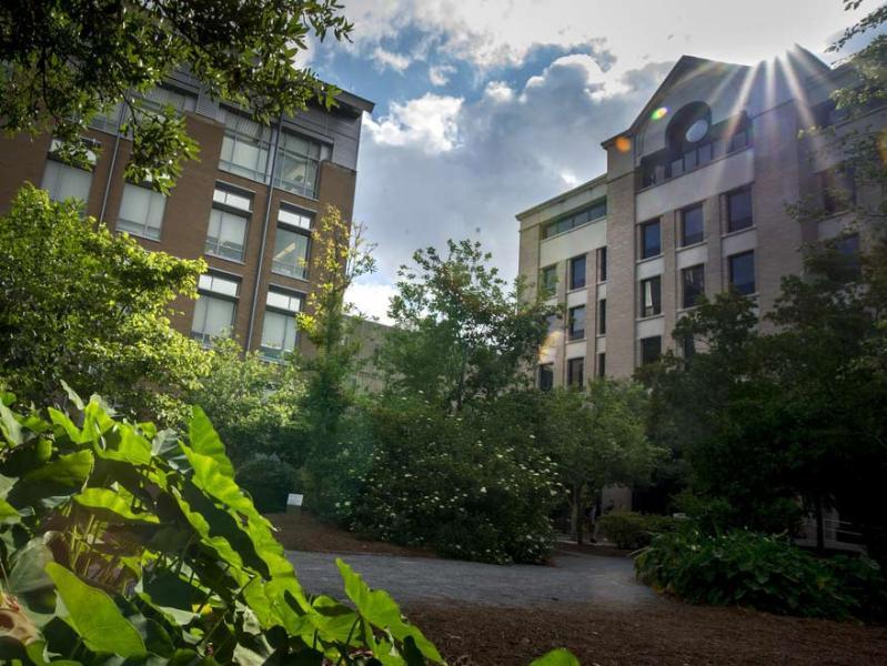 Sunlight over Tulane campus buildings Sunlight over Tulane campus buildings