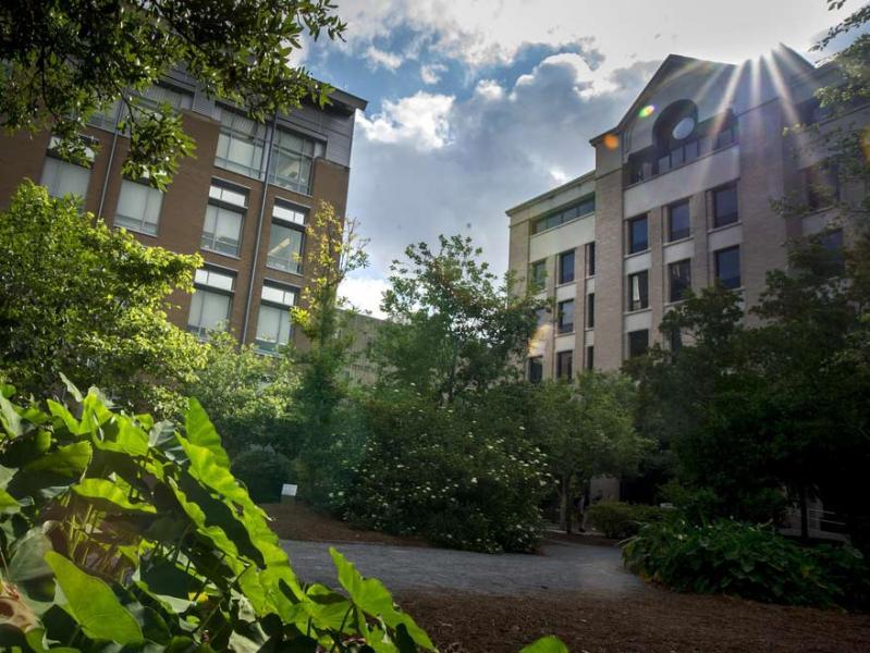 Sunlight over Tulane campus buildings