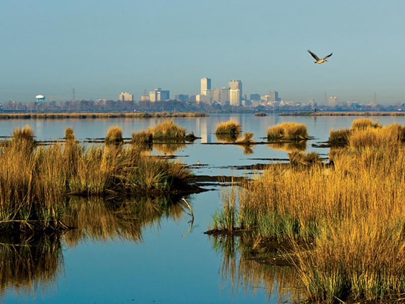 skyline_4234_pbc-lpr_600.jpg skyline_4234_pbc-lpr_600.jpg
