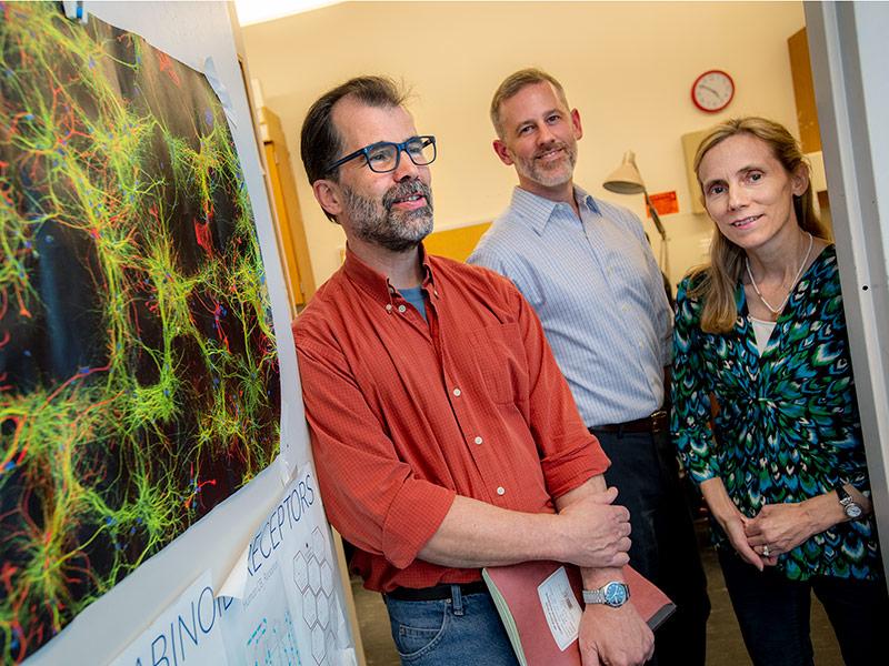 A Tulane  professor to study the effects of stress on the brain 