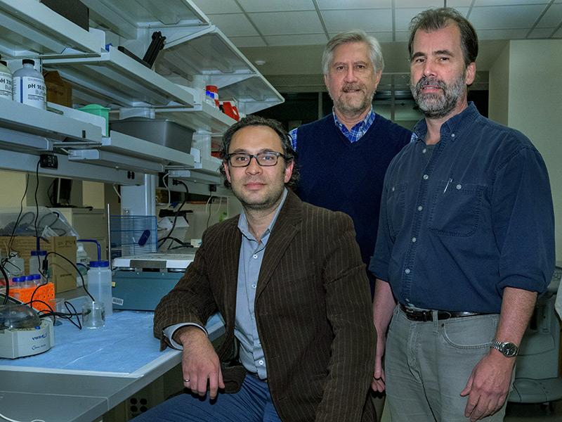 A Tulane researcher is joining more than 40 universities in a nationwide effort to achieve long-term recovery from opioid addiction. A Tulane researcher is joining more than 40 universities in a nationwide effort to achieve long-term recovery from opioid addiction.