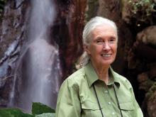 Famed conservationist Jane Goodall to appear at Tulane