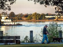  Uptown residents walk their dogs at the fly as a tug pushes a barge down the Mississippi River.  