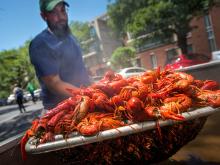 Mudbugs are the main course at the annual Craw Dat event