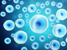 human cell human cell