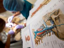 An anatomy textbook is nearby as two students examine a cadaver in a neuroanatomy and central nervous system dissection lab on Thursday (June 23) on the uptown campus.