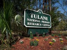 Tulane National Primate Research Center Tulane National Primate Research Center