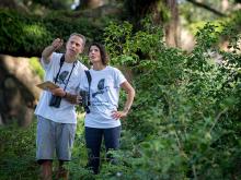 Tulane researchers investigate lead in wildlife Tulane researchers investigate lead in wildlife