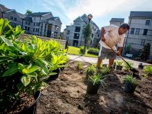  New landscaping takes root in the Aron Residence courtyard.