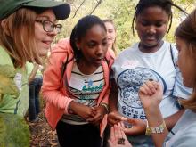 Female role models make science a better ‘fit’ for girls Female role models make science a better ‘fit’ for girls