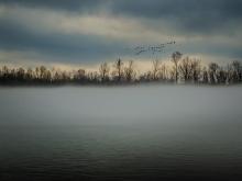 Early morning fog and an overcast sky create a painterly view of the Mississippi River.