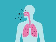 Pathogens entering the body