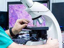 Lab tech analyzes tissue sample