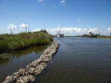 oyster reefs in Plaquemines Parish