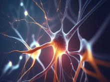 Brain neurons - Illustration