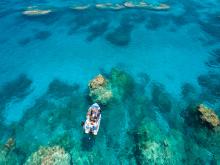 Coral reef bleaching