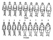 Body type scale
