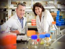 James McLachlan and Lisa Morici, James McLachlan and Lisa Morici