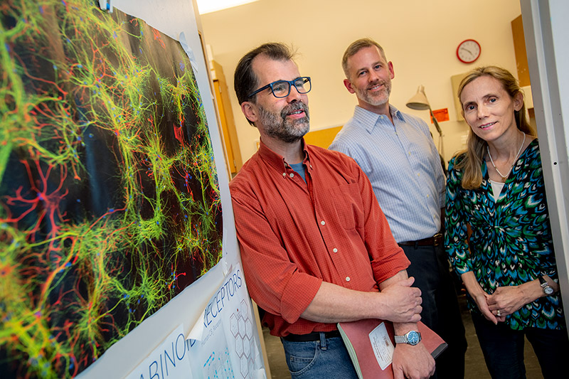 A Tulane  professor to study the effects of stress on the brain 